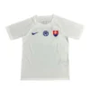 Slowakije Uitshirt 2024/25