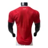 110 Wales WK Thuisshirt 2026