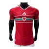 111 Wales WK Thuisshirt 2026