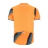 Atalanta 3de Shirt 2025/26