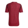 België Thuishirt 2024/25