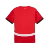 Egypte Thuisshirt 2024/25