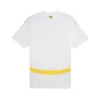 Ghana Thuisshirt 2024/25