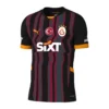 4 Galatasaray 3de Shirt 2024/25