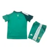 44 Noord-Ierland WK Thuis Set 2026 Kids