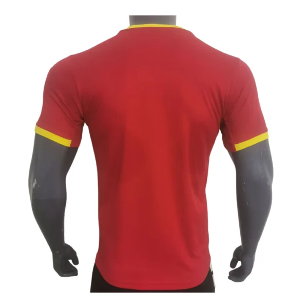 45 Guinea Thuisshirt 2024