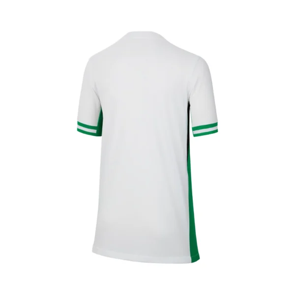 94 Nigeria Thuisshirt 2024/25