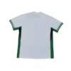 96 Nigeria Thuisshirt 2024/25