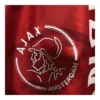 Ajax Retro Thuisshirt 1995/96